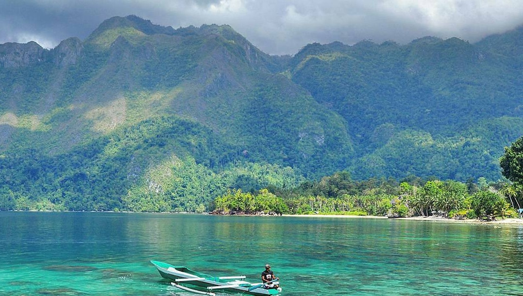 Various types of coral reefs and beautiful marine ecosystems in manusela park