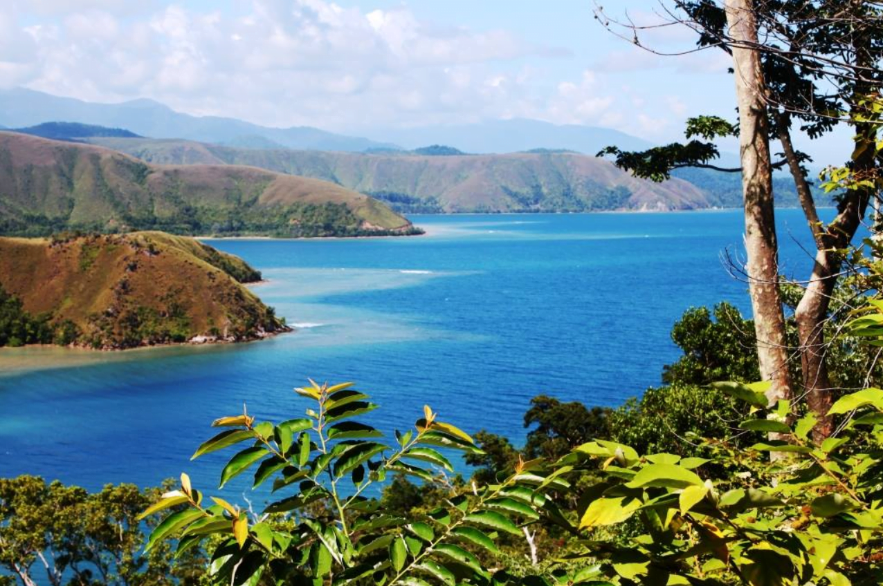 manokwari is the capital of west papua province