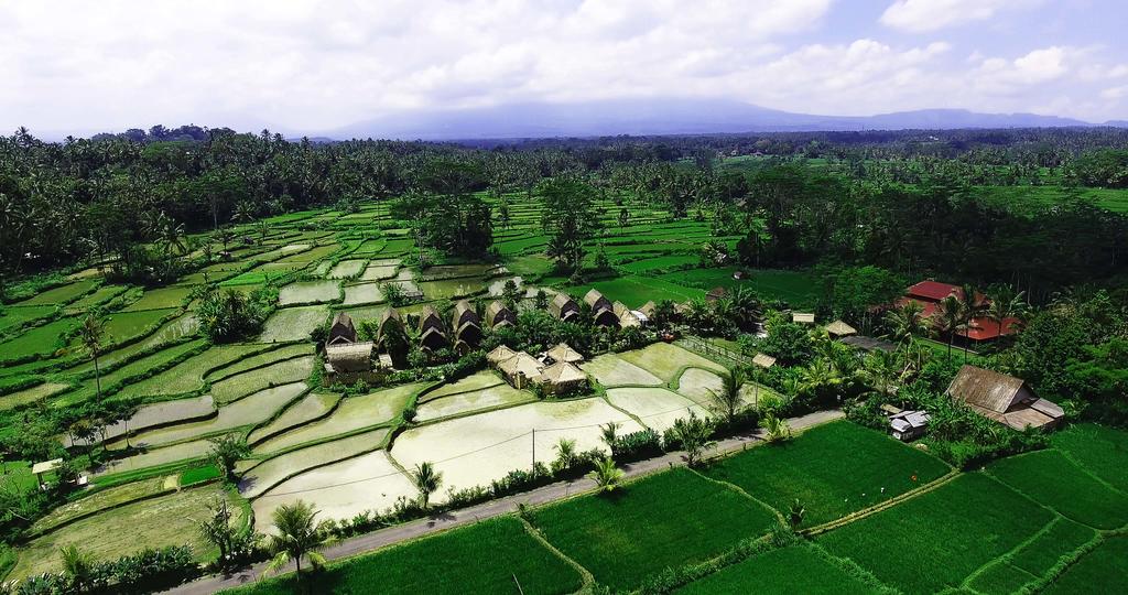 natural view of undisan village in bangli