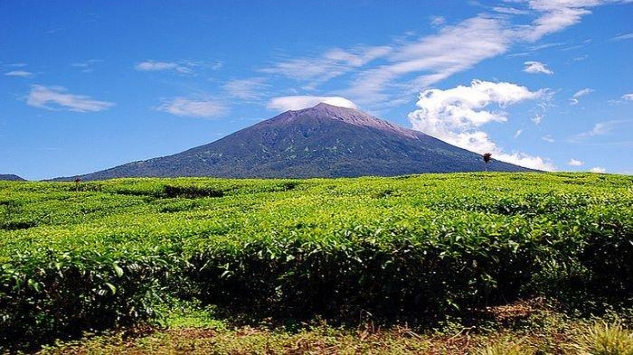 Kerinci Seblat National Park is listed as part of World Heritage Site by unesco