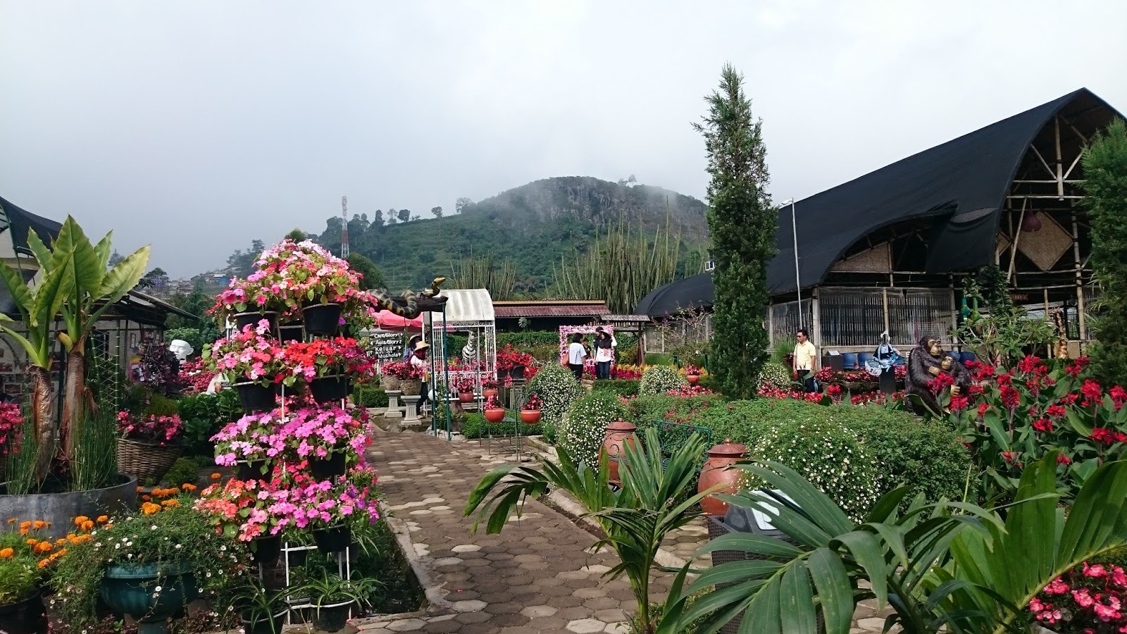 begonia park is romantic place in java