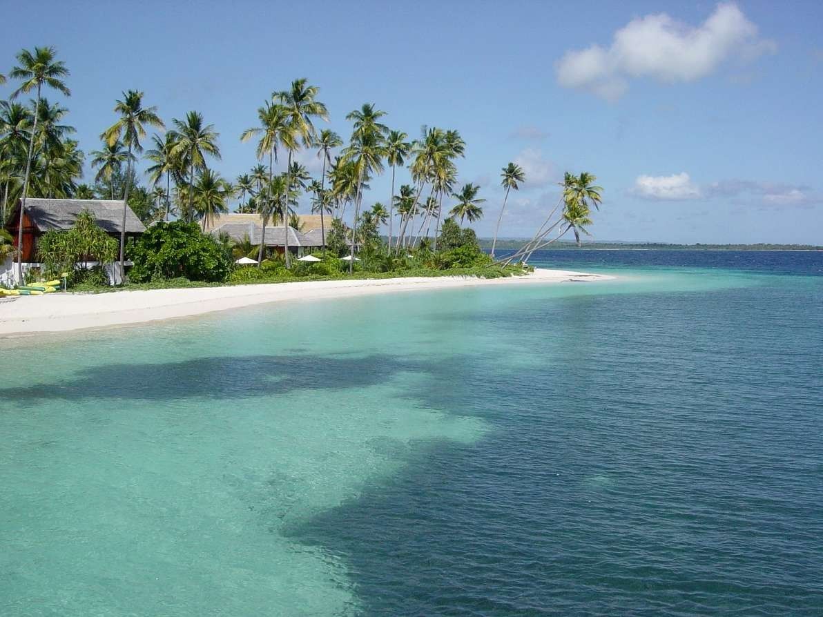 coconut trees and white sand view in hoga island