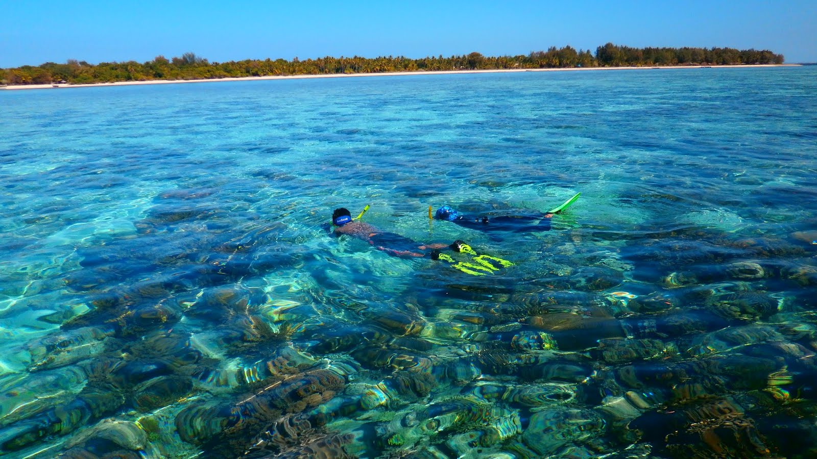 underwater beauty of hoga island