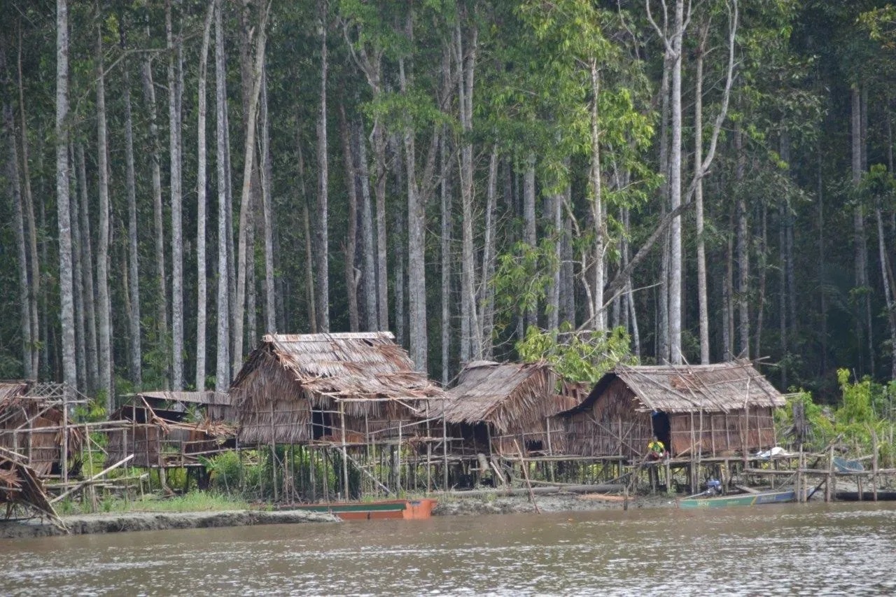 the asmat people village near the river