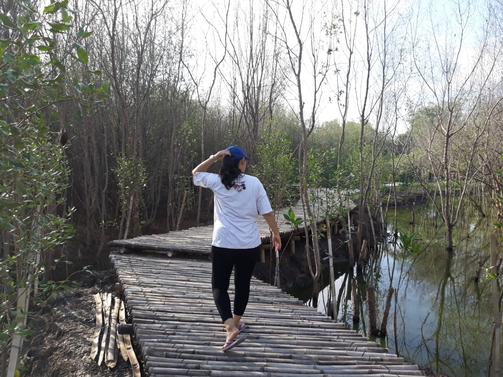 tourist walks in Gunung Anyar Mangrove Botanical Garden area