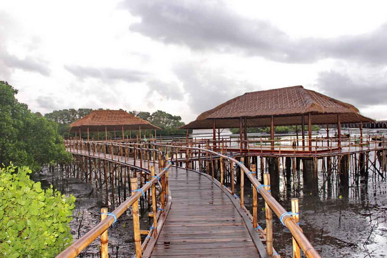 wanasari mangrove forest is a protector for many beaches in Bali
