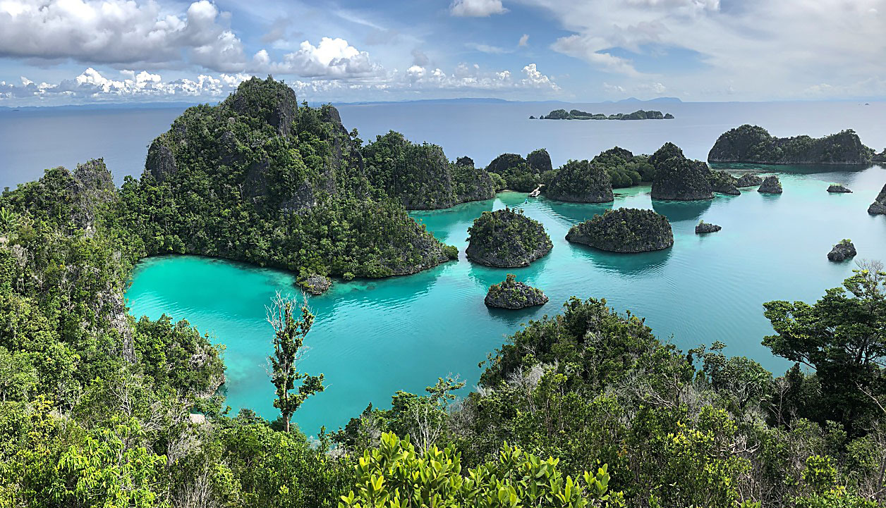 raja ampat holiday packages