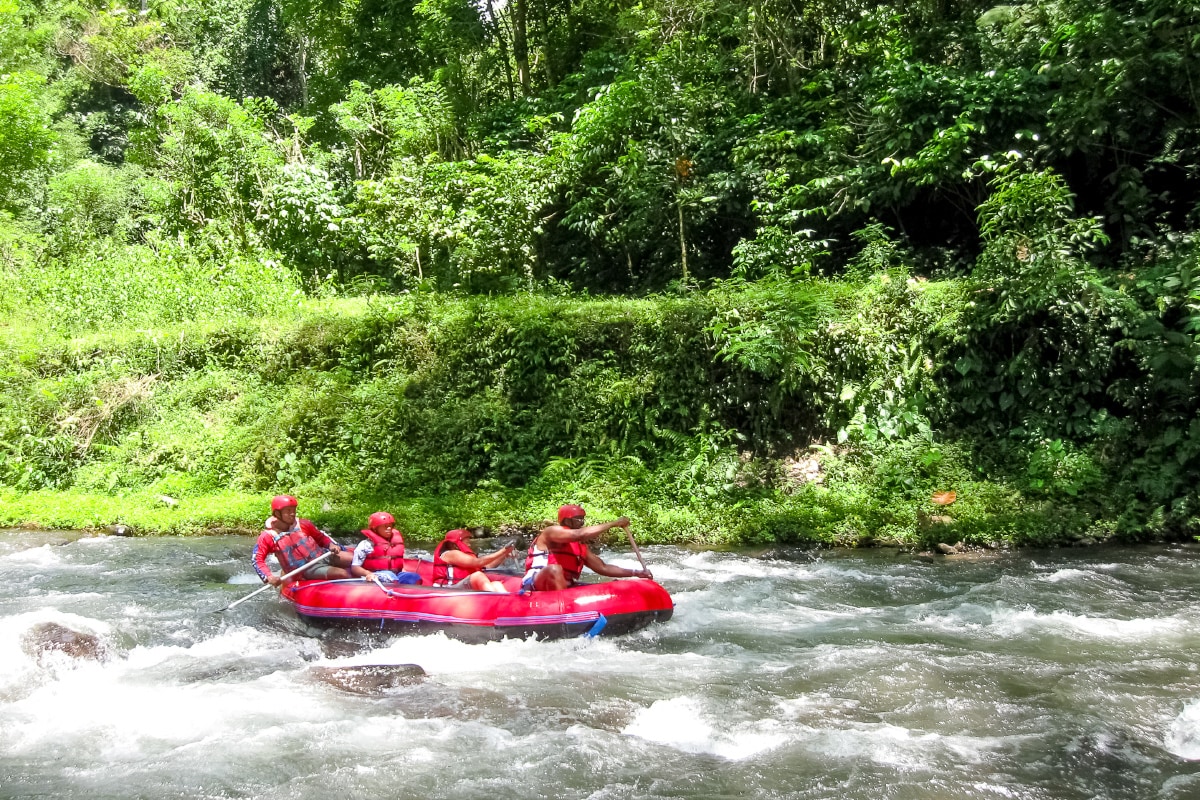 ayung river rafting for beginner