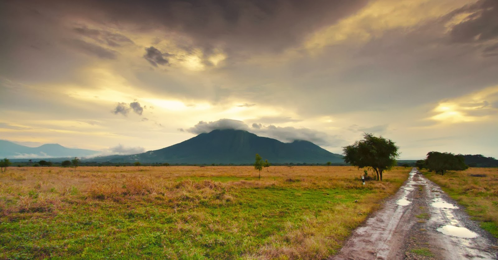 africa van java aka baluran national park