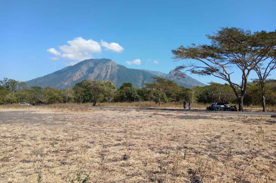 national park of baluran savanna