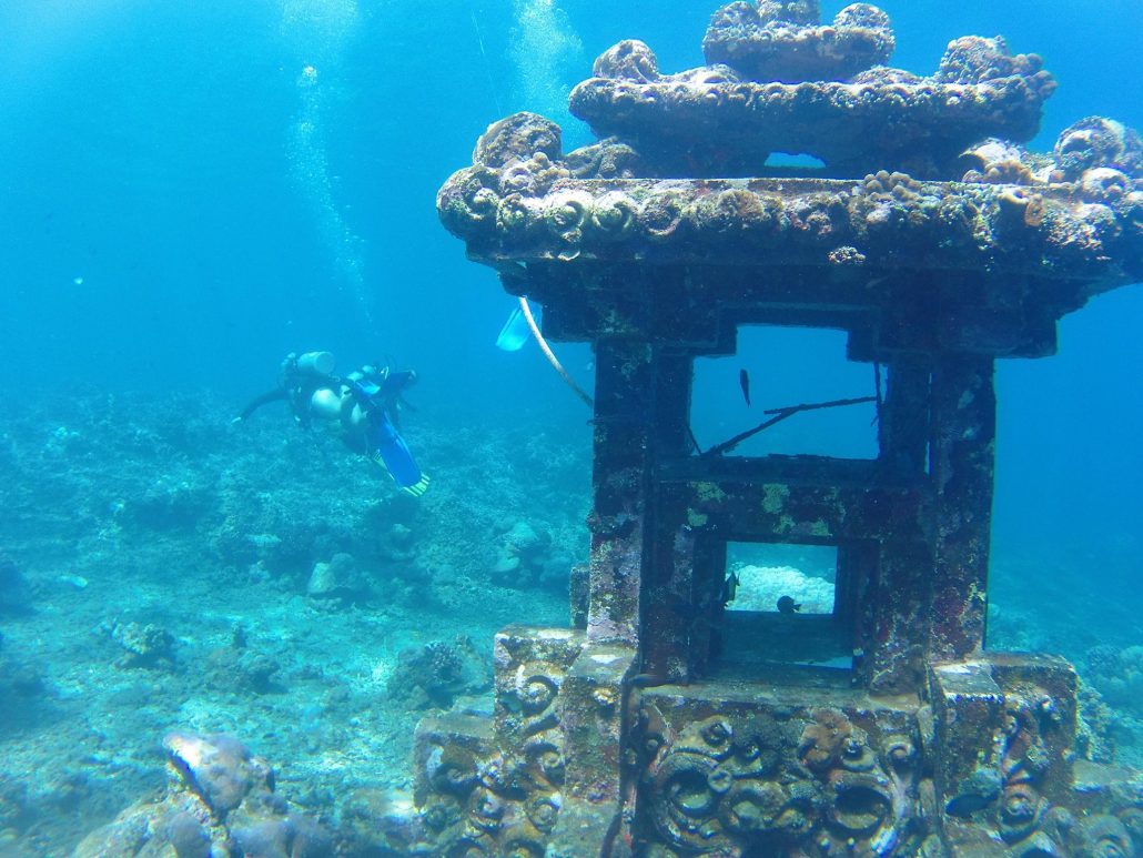 Enjoying the Beauty of Amed Underwater Nature