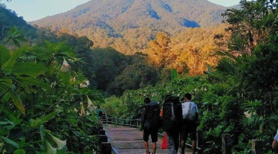 Mount Gede Pangrango National Park Attraction in West Java