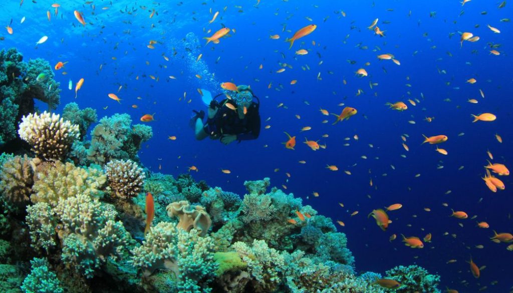 best snorkeling in tulamben bali