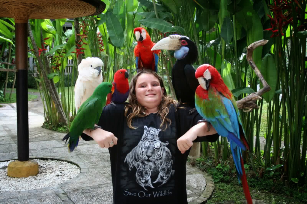 Bali Bird Park is a must-visit attraction for kids in Bali